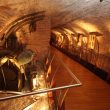 Museo de la Abadia