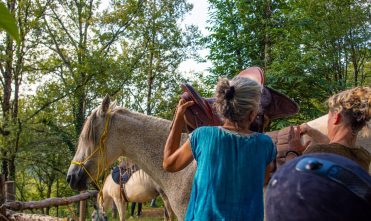 La Ferme des Grandes Oreilles