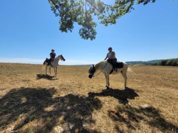 La Ferme des Grandes Oreilles
