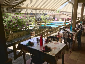 El restaurant de la Finca de animales «Bellevue»