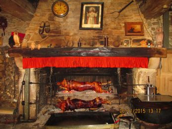 El restaurant de la Finca de animales «Bellevue»