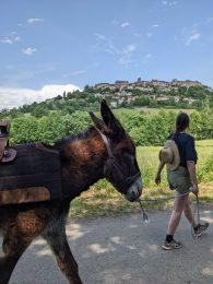 L’âne qui vole, promenade à dos d’âne