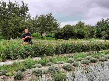 Atelier découverte «Je compose ma tisane»