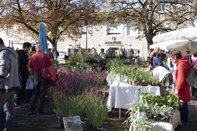 Foire aux plantes à Villeneuve-sur-Vère
