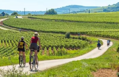 Vél’Apéro chez un vigneron