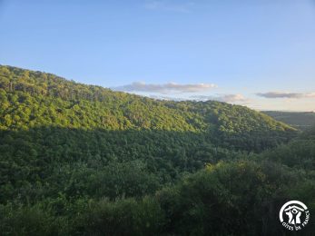 La Tourrette