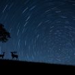 Balade crépusculaire et observation des étoiles
