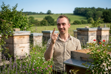 Visite du Rucher & Musée de l’abeille