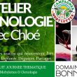 Circuit journée vignes, saveurs & mobylettes avec atelier Oenologie (Le jeudi uniquement)