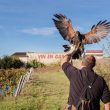 Vitirapace – Domaine du Moulin