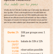 Des sabots sur les pavés – visite accompagnée d’un âne