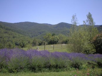 Gîte du Mouscaillou