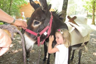 Paseo en burro