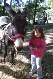 Paseo en burro