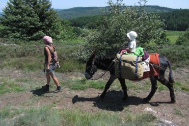 Paseo en burro