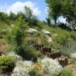 Jardin de Cantoperlic – le jardin des quatre saisons