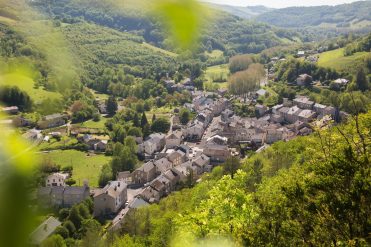 Viane
