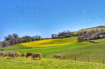 Village de Puycalvel