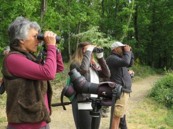 À Tire d’ Aile – Balades Nature avec Florence Couton