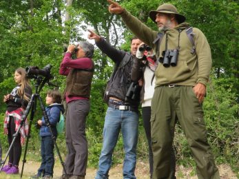 À Tire d’ Aile – Balades Nature avec Florence Couton