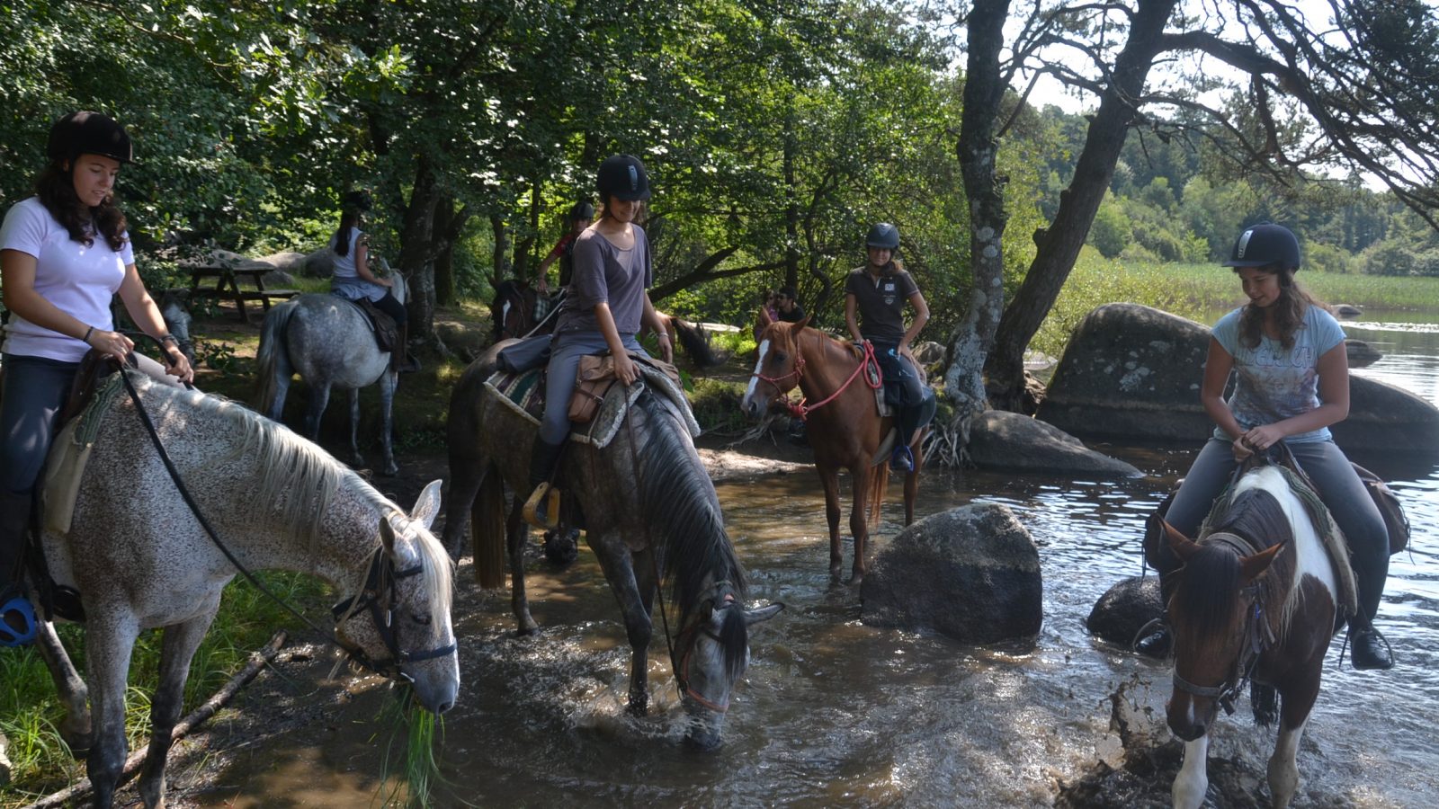 The Tarn on horseback
