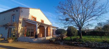 Le Reflet du Trèfle – Grenouille