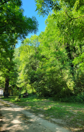 Camping Le Bois Flottant
