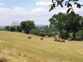 Ferme de Rayssaguel