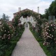 Château Lecusse