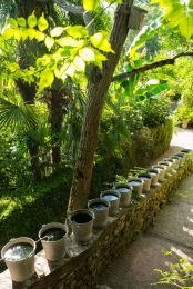 Paradise Garden