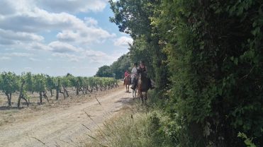 The Grésigne Equestrian Farm