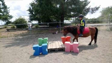 The Grésigne Equestrian Farm