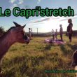 Stretching au milieu des chèvres