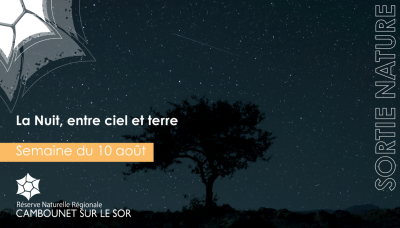 Nature Outing: Night, Between Sky and Earth