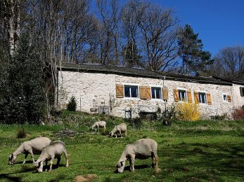 La Fenial – Le Moulin du Barthas