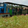 Tarn tourist railway