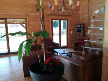 Ecolodge Bellevue gîte