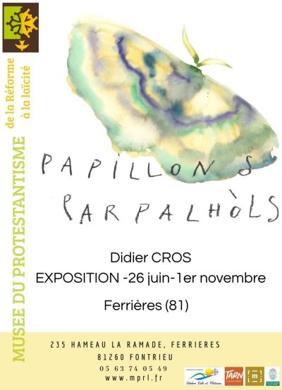 Exhibition: ‘Butterflies, parpalhols’