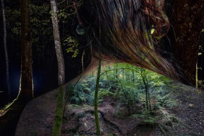 Cie Ames Fauves “Rester sauvage”