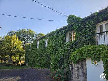 Puech Mège