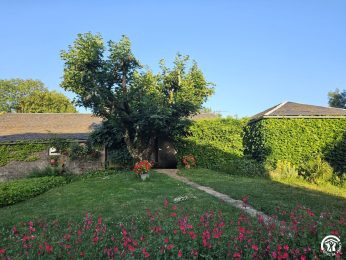 Puech Mège