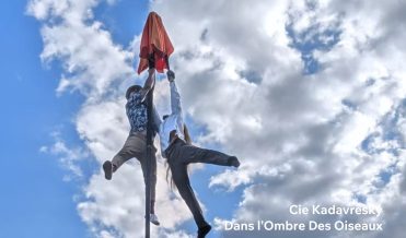“Dans l’ombre des oiseaux”
