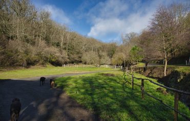Camping La Bastide D’Albignac