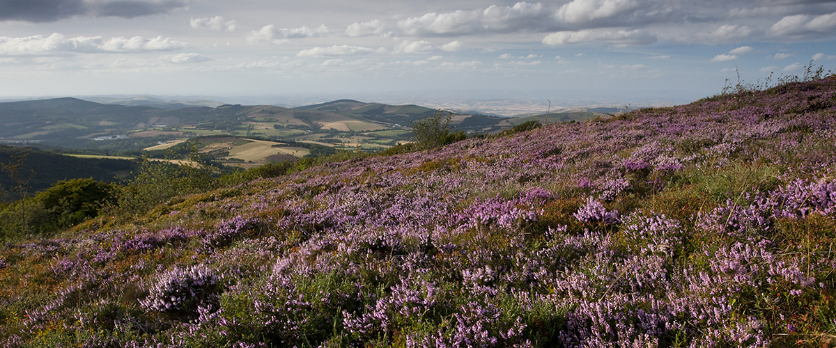 Monts de lacaune balade