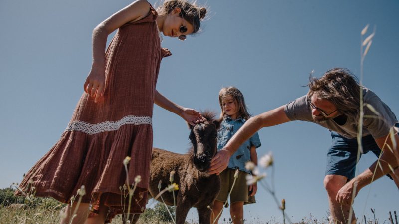 Rencontre avec les animaux de la ferme