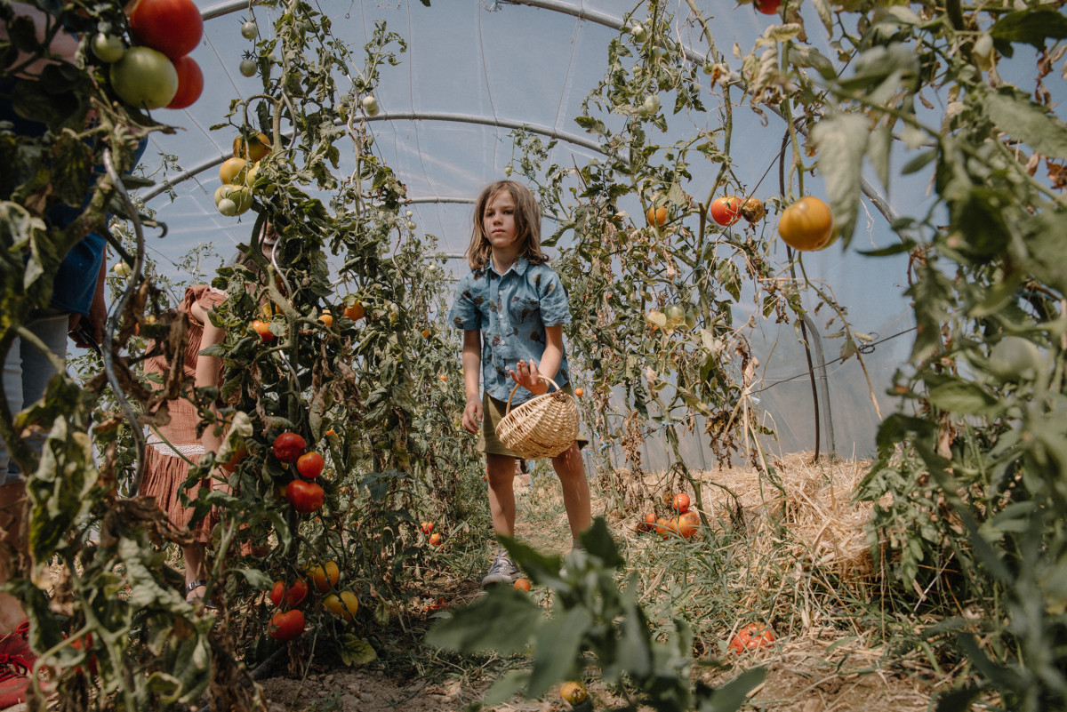 Jouer à l&rsquo;apprenti fermier aux jardins de Martine à Saint-Sulpice