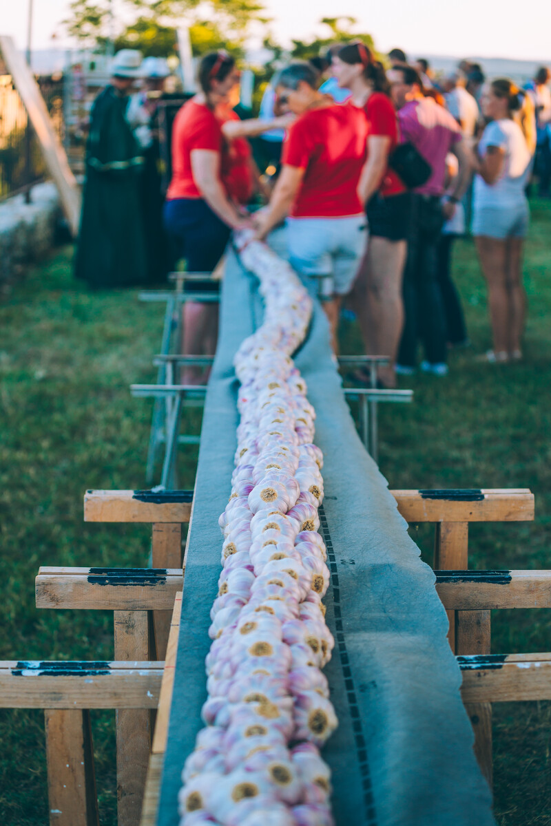Fête de l'ail rose de Lautrec