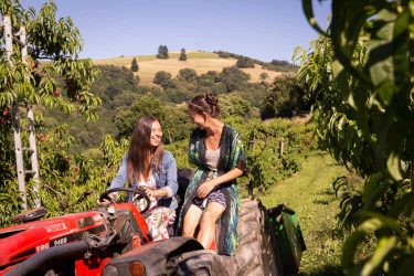 Un dimanche à la campagne