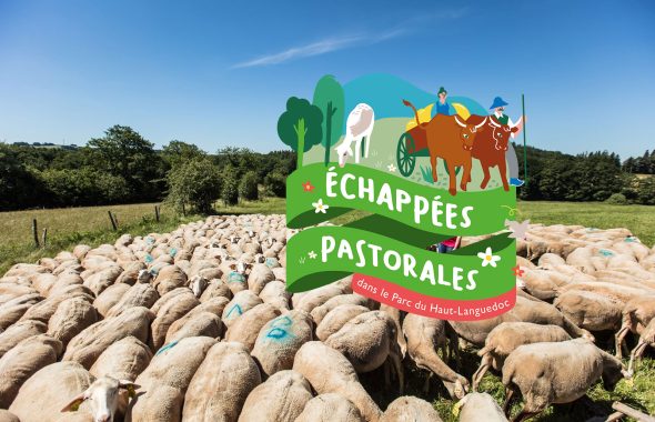 Échappées Pastorales