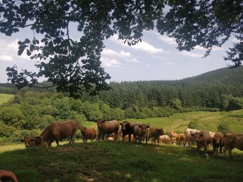 Ferme de Lagrange